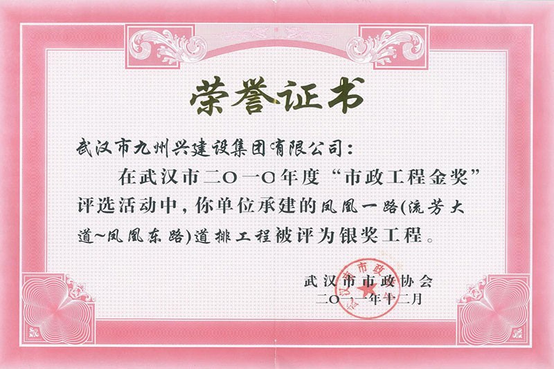 鳳凰一路道排工程“銀獎工程”