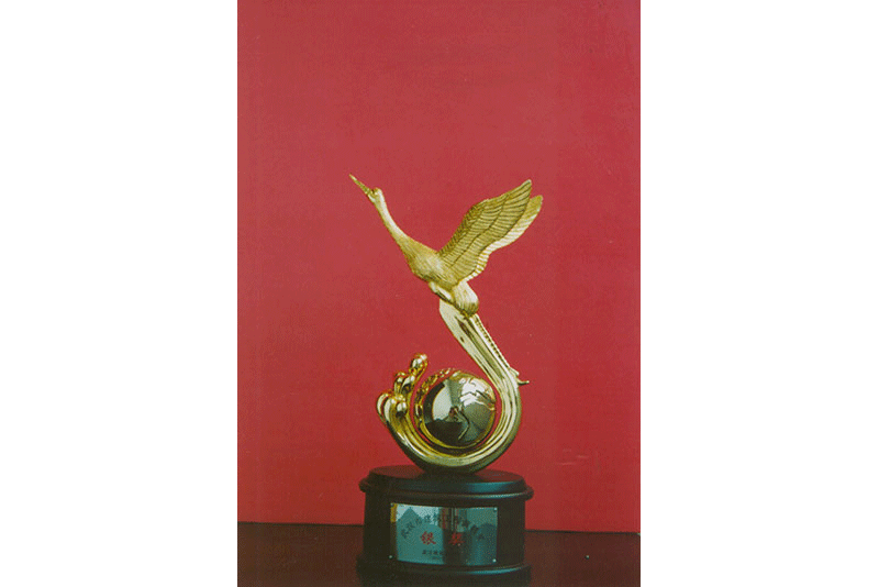 常青花園12號小區(qū)13#號樓工程獲黃鶴杯銀獎