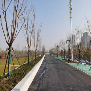 武漢漢陽江灘防水墻和道路工程