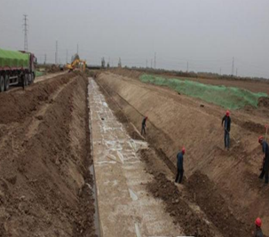 新洲農(nóng)業(yè)綜合開(kāi)發(fā)倒東中型灌區(qū)節(jié)水配套項(xiàng)目